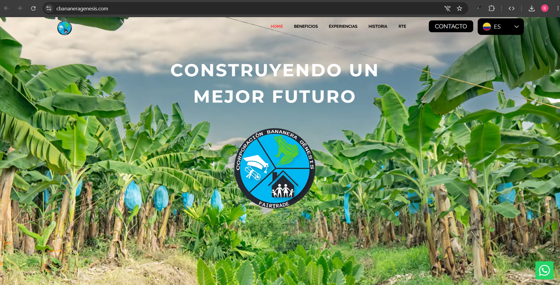Páginas Web & Portales